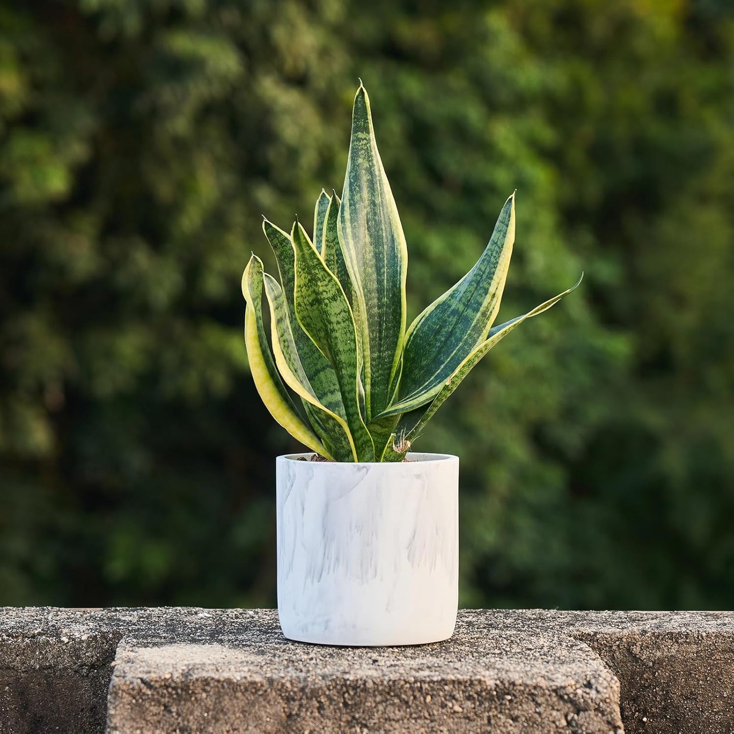 Ekirlin 6 Inch Resin Plant Pot Indoor - Natural Marble Texture Garden Planter with Drainage Hole, Removable Rubber Stopper and Non-Slip Soft Pad, Modern Succulents Containers for Home, Outdoor-VerdiqueGarden