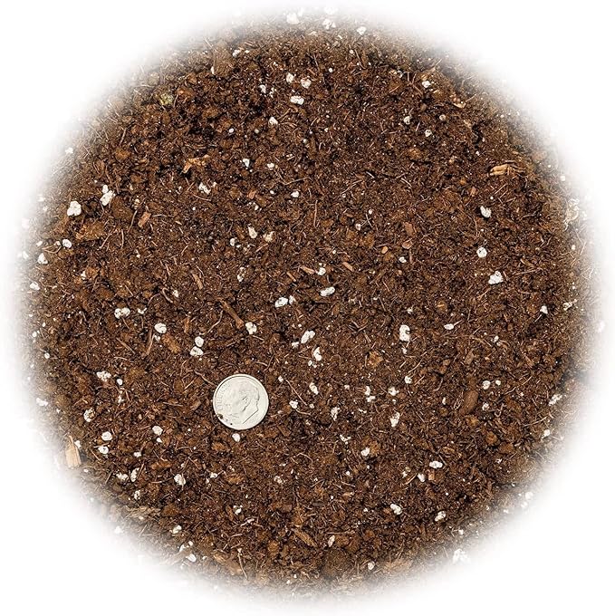 Premium Dracaena Potting Soil Mix - (1 Quart Bag)-VerdiqueGarden