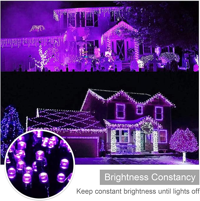 weillsnow Purple Christmas Lights, 200 LED 66Ft Plug in Waterproof Christmas String Lights, 8 Modes with Memory for Outdoor Indoor Garden Tree Patio Christmas Decorations (66FT, Purple)-VerdiqueGarden