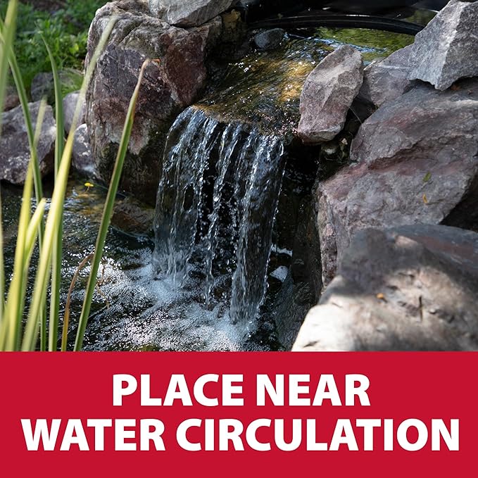 The Pond Guy Straw Barley Bale for Water Gardens, Fountains & Small Koi Ponds, Natural Clarifier, Simple & Easy to Use Pond Maintenance, 1-Pound Bale-VerdiqueGarden