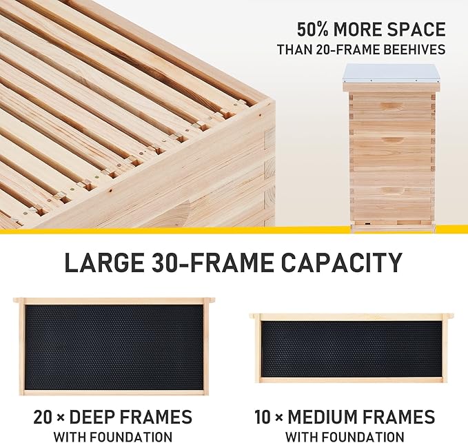 CREWORKS Bee Hive Boxes Starter Kit, 3 Layer Bee House with 10 Medium and 20 Deep Frames & Foundations, Langstroth Beehive for Bee Keeping, Beekeeping Supplies with Plastic Queen Excluder and Nails-VerdiqueGarden