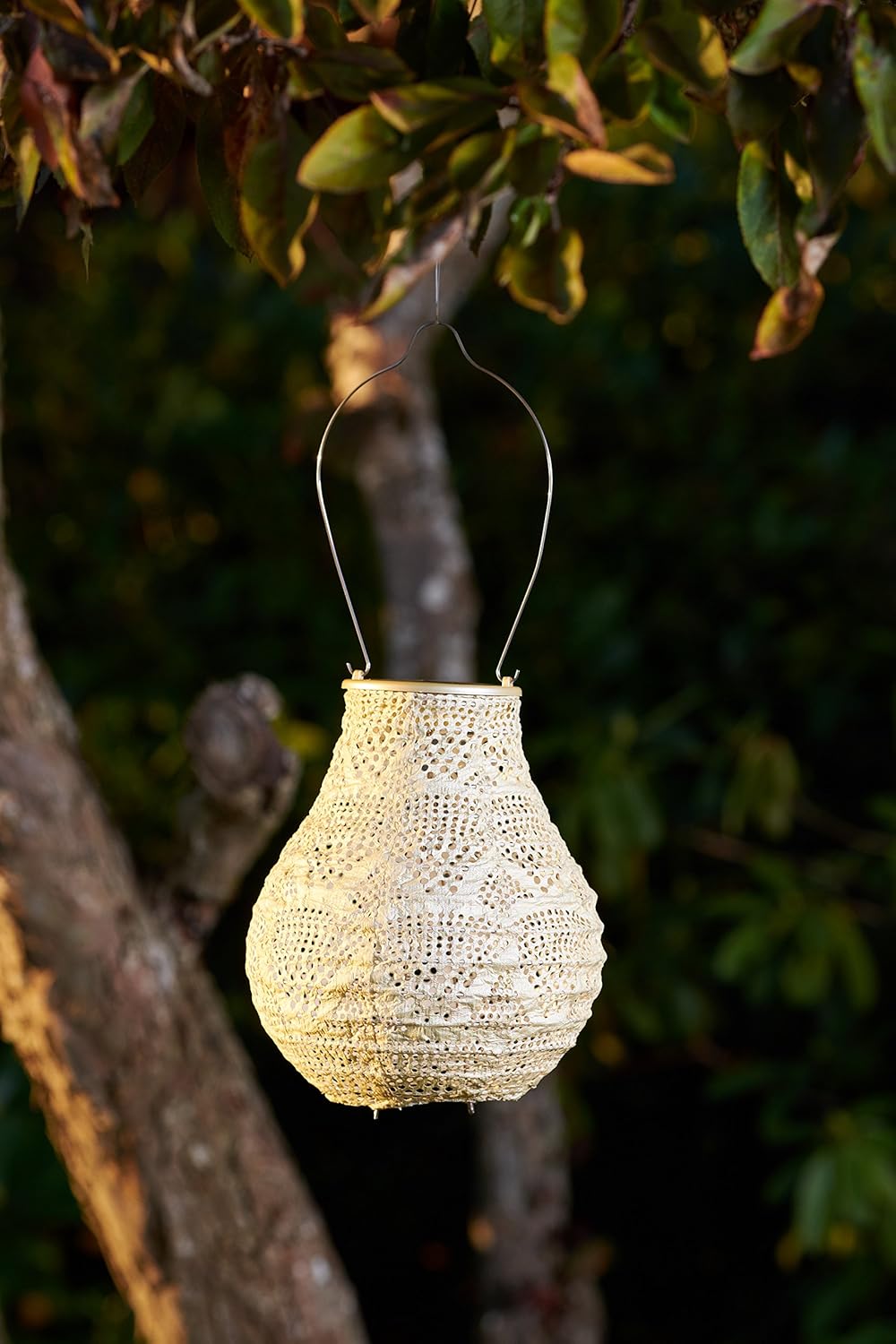 Allsop Soji Stella - Bulb - 8" Outdoor Solar Lantern - Pearl-VerdiqueGarden