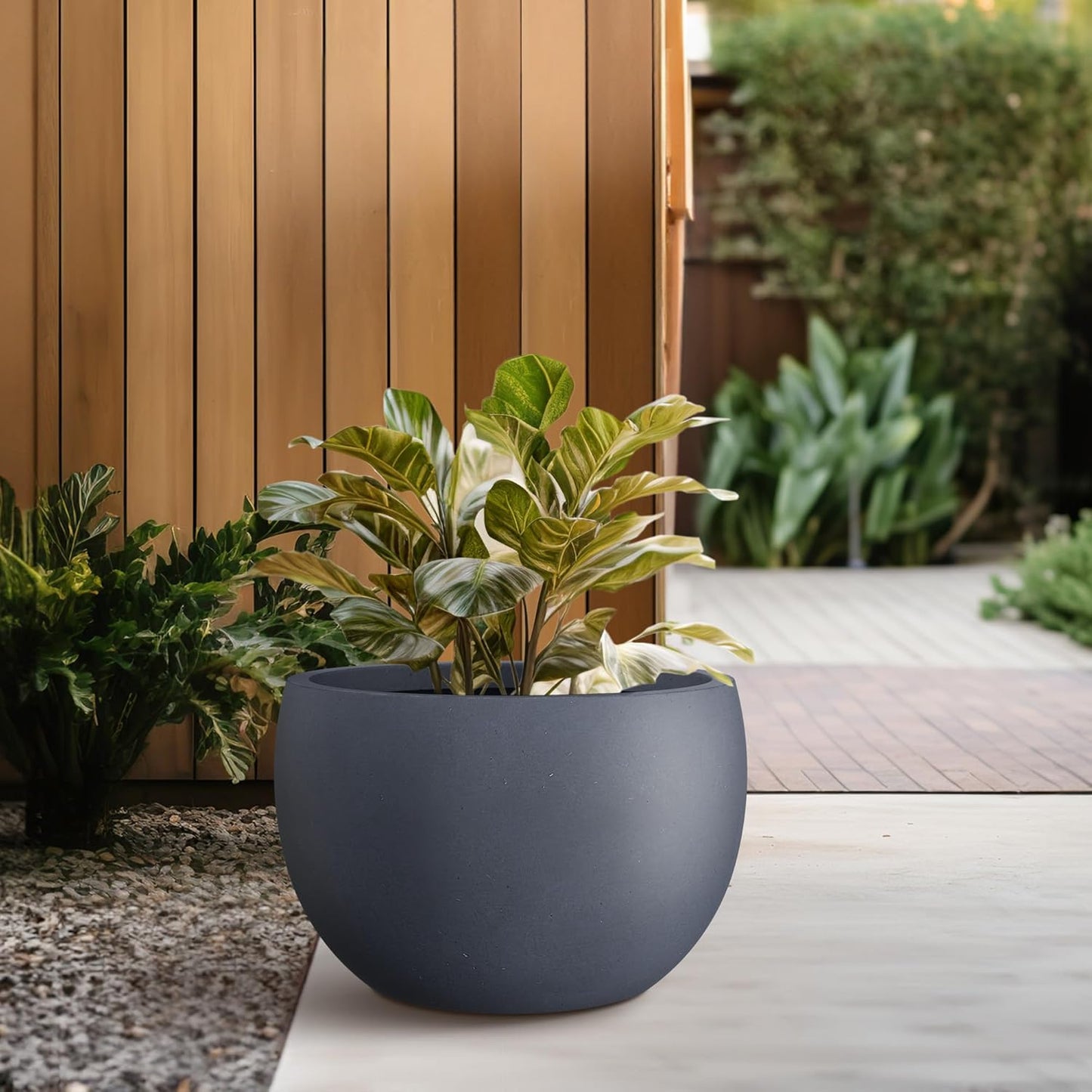Kante 15.7" Dia Round Concrete Planter, Outdoor/Indoor Large Bowl Plant Pots with Drainage Hole and Rubber Plug for Garden Patio Balcony Home, Charcoal-VerdiqueGarden