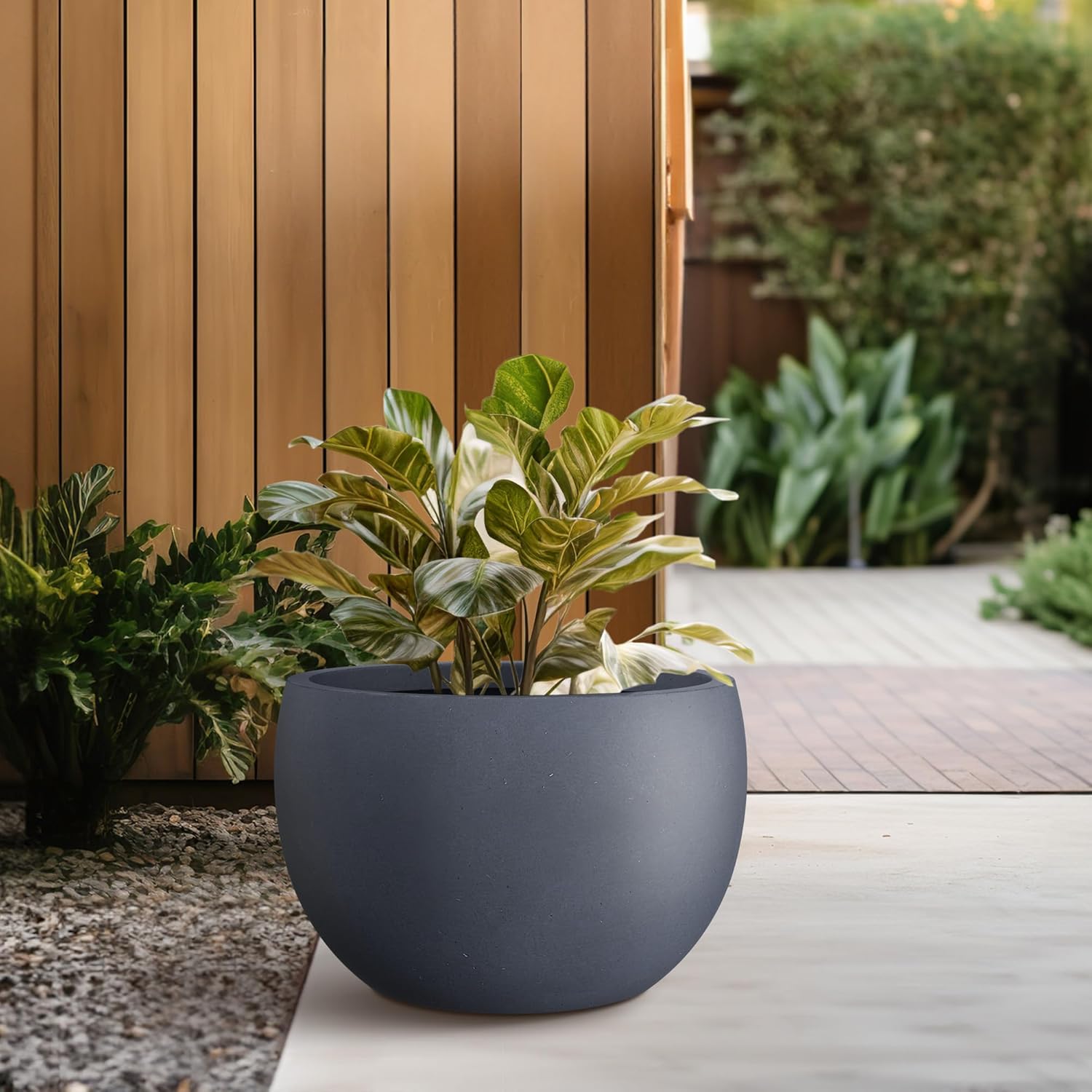 Kante 15.7" Dia Round Concrete Planter, Outdoor/Indoor Large Bowl Plant Pots with Drainage Hole and Rubber Plug for Garden Patio Balcony Home, Charcoal-VerdiqueGarden