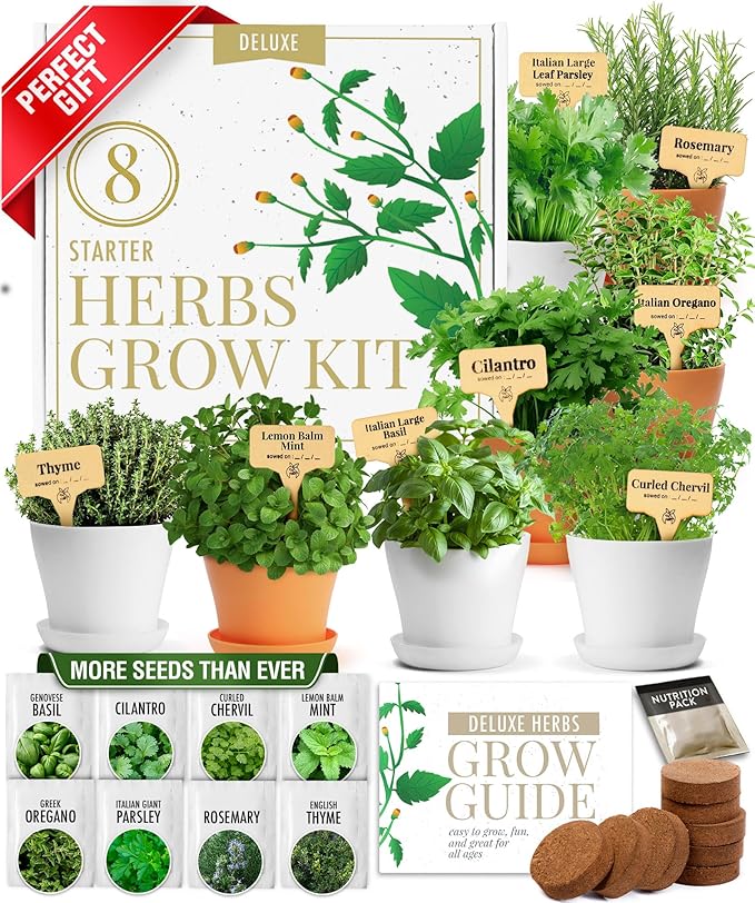 HOME GROWN 𝗣𝗥𝗘𝗠𝗜𝗨𝗠 𝗛𝗘𝗥𝗕 𝗞𝗜𝗧 8 Herb Seeds Garden Kit, Complete Indoor Planter Gift with Basil Cilantro Mint & More, Unique Kitchen Growing Set for Women Men, Birthday Housewarming Present-VerdiqueGarden