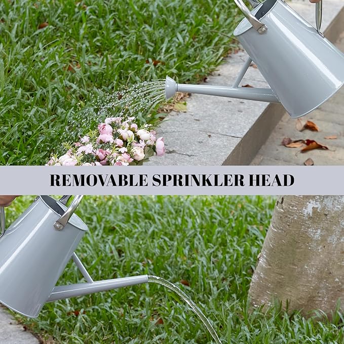 1.5 Gallon Watering Can for Outdoor Plants,Large Metal Plant Watering Pot with Removable Spout,Flower Garden Water Can Watering Pot,Galvanized Steel Watering Can with Stainless Steel Handles，Grey-VerdiqueGarden