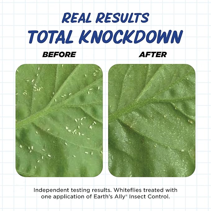 Earth's Ally Insect Control Concentrate for Plants 32 oz | Safe Outdoor & Indoor Plant Insecticide, Spider Mite, Aphid & Mealybug Killer - for Organic Garden & Household Plants-VerdiqueGarden