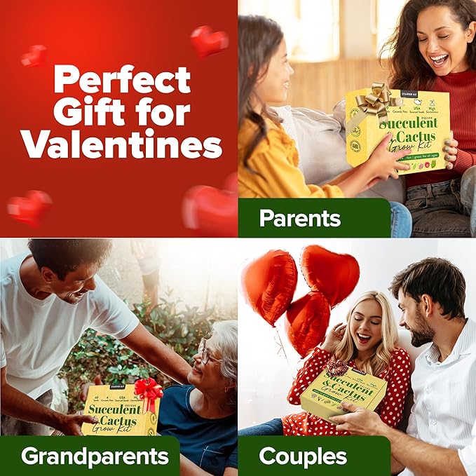 HOME GROWN Deluxe Succulent & Cactus Seed Grow Kit - Indoor Cactus & Succulent Kit w/Cactus Seeds, Potting Soil, Ceramic Succulent Pots, Water Drip Trays, Grow Guide for Plant Lovers-VerdiqueGarden