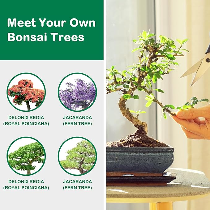 Bonsai Tree Kit, Bonsai Starter Kit for Growing Bonsai Plants with Tools, Grow Bonsai Tree Live Indoor, Garden Crafts Hobby Kits, Unique DIY Gardening Gifts for Men Women Mother-VerdiqueGarden