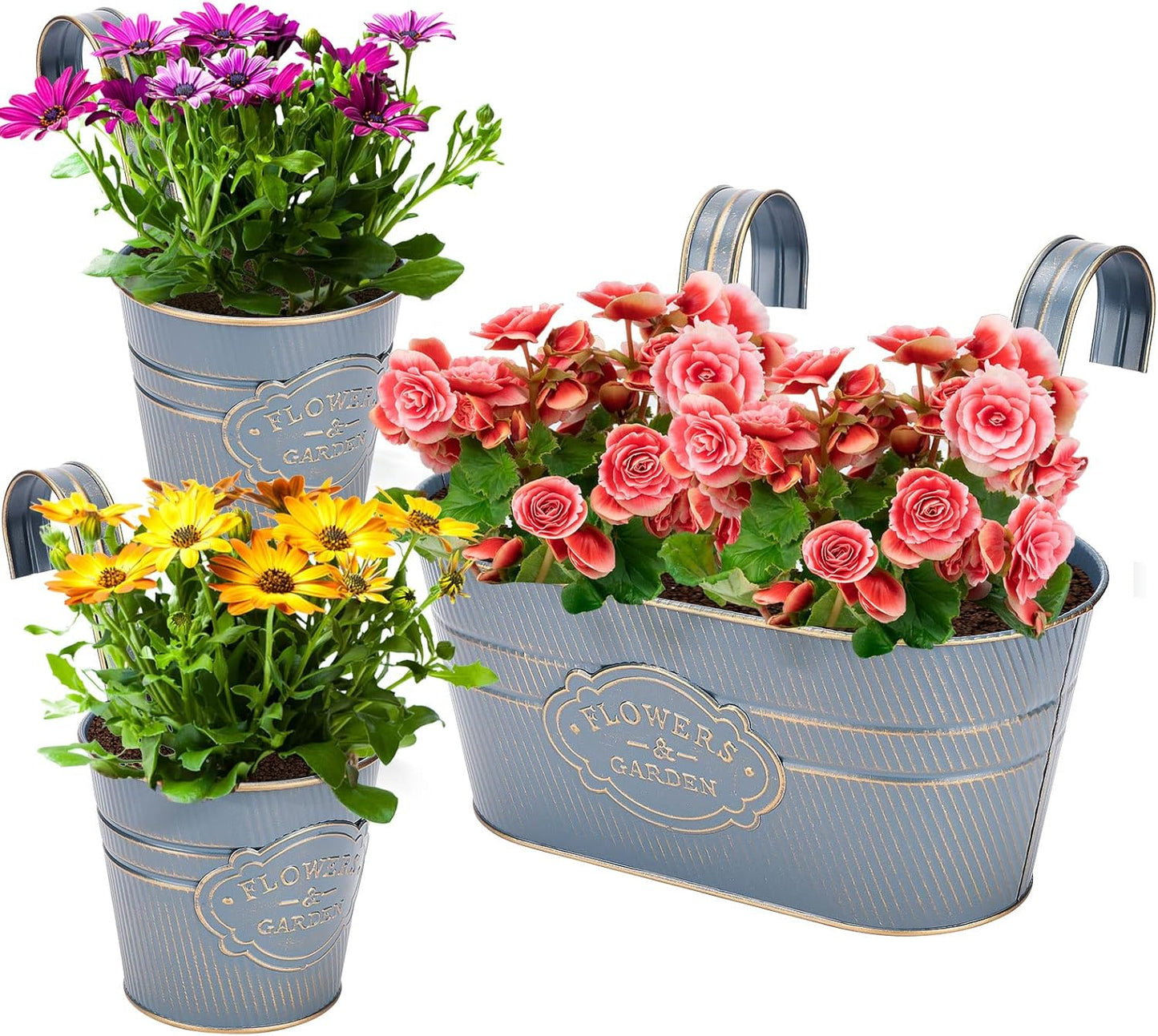 PerGar Vintage Metal Iron Wall Hanging Flower Pots, Rustic Planter Bucket Herb Flower Plant Holder with Detachable Hooks & Drainage Hole for Railing Fence Balcony Deck Garden Home Decoration, Set of 3-VerdiqueGarden