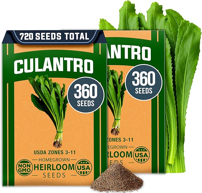 HOME GROWN Culantro Seeds - 720+ 𝗡𝗢𝗡-𝗚𝗠𝗢, 𝗨𝗦𝗔-𝗦𝗢𝗨𝗥𝗖𝗘𝗗 Heirloom Herb Seeds for Planting, Slow-Bolting, Flavorful Cilantro Alternative, Great for Outdoor Herb Gardens (Eryngium foetidum)-VerdiqueGarden