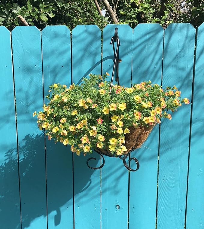 4 Pack Heavy Duty Plant Hanger Bracket, 12Inch Hanging Brackets for Plants Outdoor and Indoor, 80lbs Holding Capacity Metal Plant Wall Hooks, Black Hanging Plant Brackets for Flower Wind Bird Feeder-VerdiqueGarden