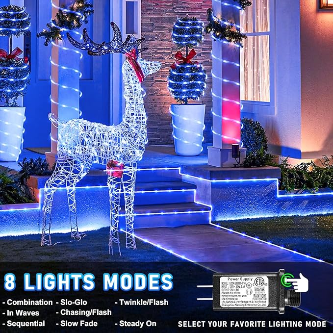 Rope Lights for Outside, 100FT 300 LED Christmas String Lights with Waterproof 8 Modes, Flexible and Connectable Plug in Fairy Lights for Outdoor Indoor Bedroom Patio Party Wedding Decorations, Blue-VerdiqueGarden