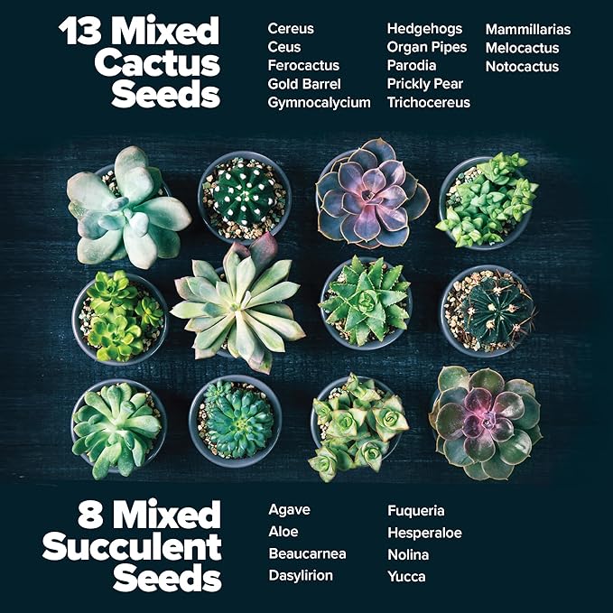 HOME GROWN Succulent & Cactus Seed Kit for Planting – [Enthusiasts Favorites] Premium Cactus & Succulent Starter Kit: 4 Planters, Drip Trays, Markers, Seeds Mix, Soil - DIY Gift Kits-VerdiqueGarden