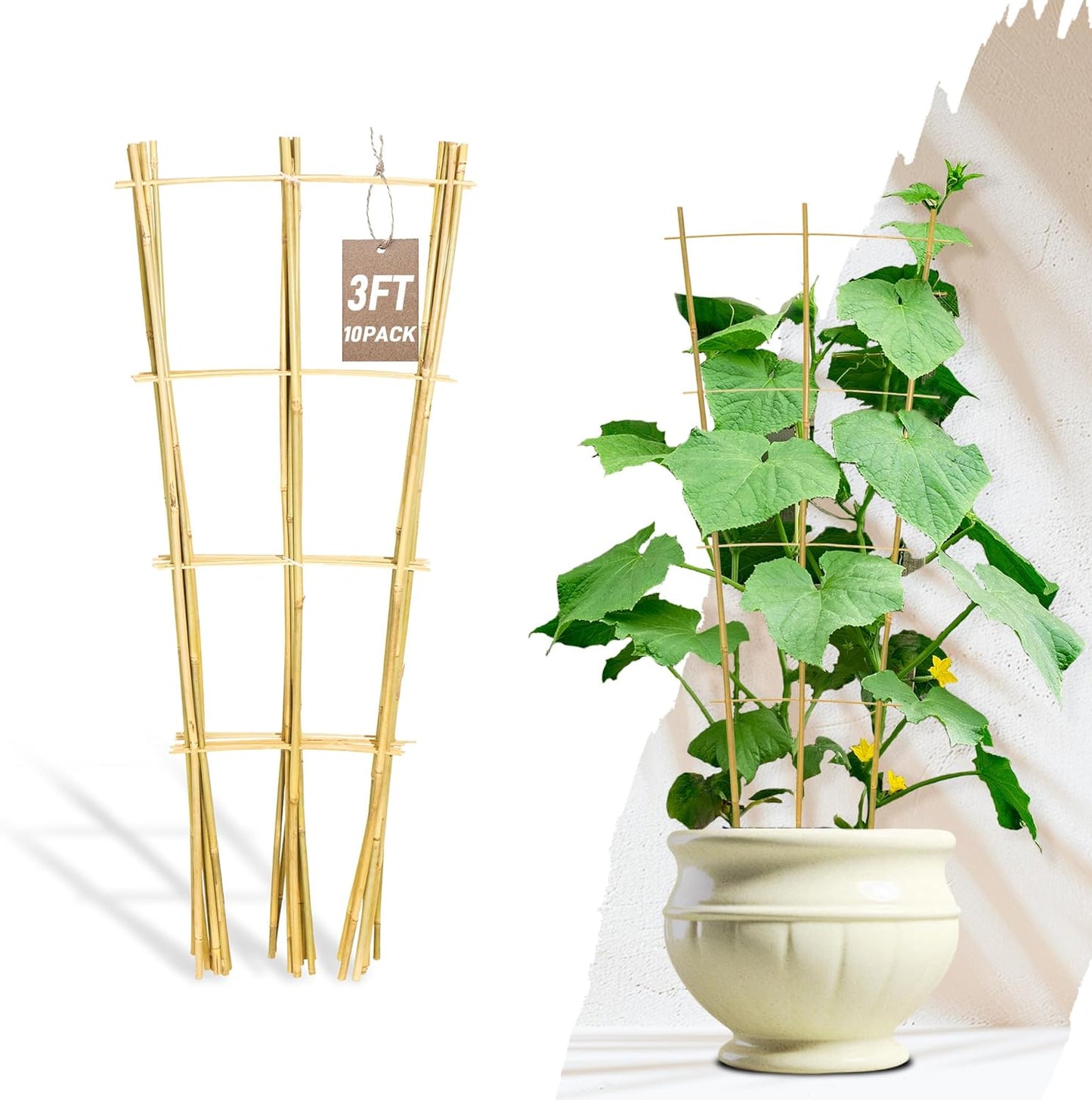 Avalution 10 Pack Bamboo Trellis for Climbing Plants, 3 FT Garden Ladder Trellis for Potted Plants Indoor, Fan-Shaped Small Plant Support Trellis for Houseplants Ivy Hoya Vine Monstera-VerdiqueGarden