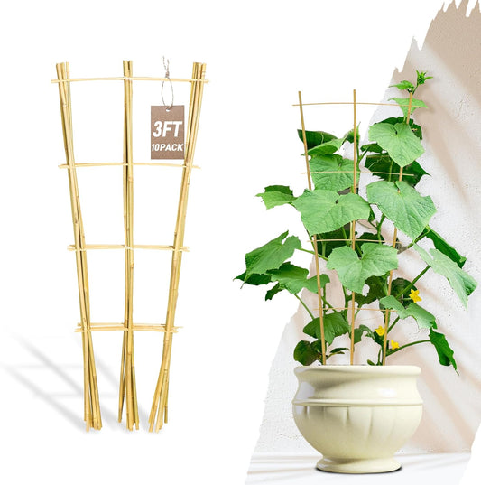 Avalution 10 Pack Bamboo Trellis for Climbing Plants, 3 FT Garden Ladder Trellis for Potted Plants Indoor, Fan-Shaped Small Plant Support Trellis for Houseplants Ivy Hoya Vine Monstera-VerdiqueGarden