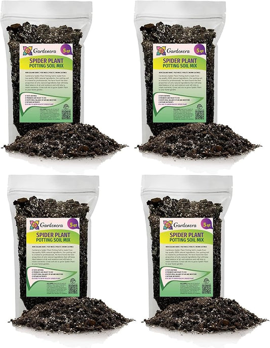 Premium Spider Plant Potting Soil Mix (4 Bags of 5 Quart)-VerdiqueGarden