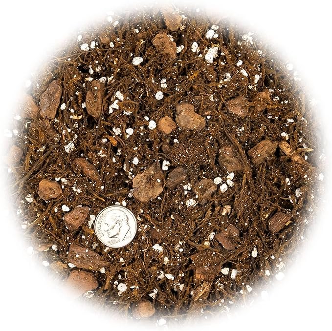 Premium Gardenera House Plant Potting Mix | Fern + New Zealand Bark + Perlite | Great for Pothos, Spider Plants, Montsera, Philodendron, English Ivy - 4 Quart Bag-VerdiqueGarden