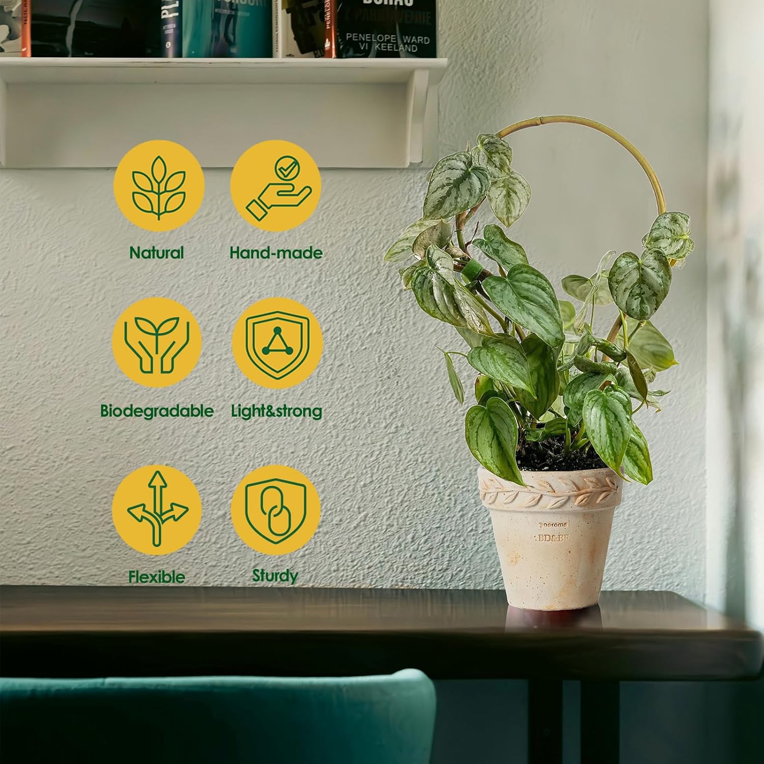 Plant Trellis Indoor 16in, Loop-Shaped Bamboo Trellis - 3 Pack for Climbing Plants, Hoya, Potted Plants-VerdiqueGarden