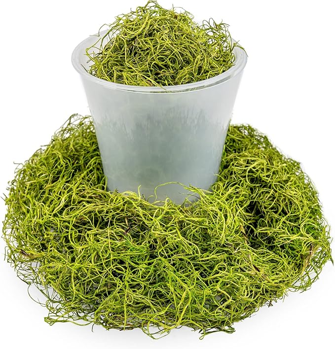 Premium Spanish Moss in Spring Green| Natural Preserved - Great Ground Cover - Filler for Potted Plants - by GARDENERA - 4 Quart Bag-VerdiqueGarden