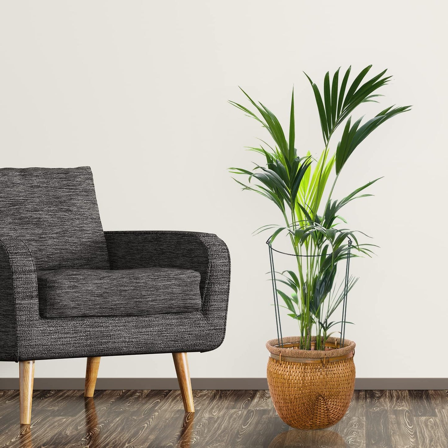 24 Pack Plant Support Stake, Half Round Metal Garden Plant Stake, Green Plant Support Ring, Border Support with Plant Lables & Plant Clips for Outdoor Indoor Plants, Vegetable, Flowers-VerdiqueGarden