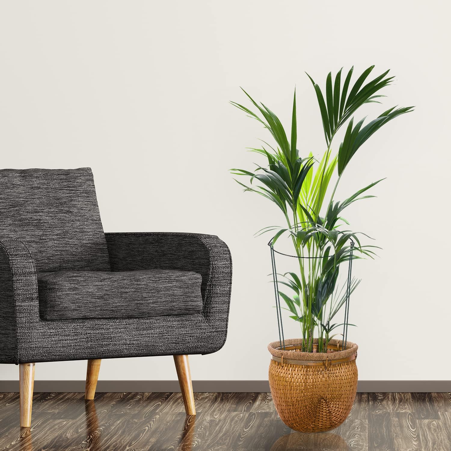 24 Pack Plant Support Stake, Half Round Metal Garden Plant Stake, Green Plant Support Ring, Border Support with Plant Lables & Plant Clips for Outdoor Indoor Plants, Vegetable, Flowers-VerdiqueGarden