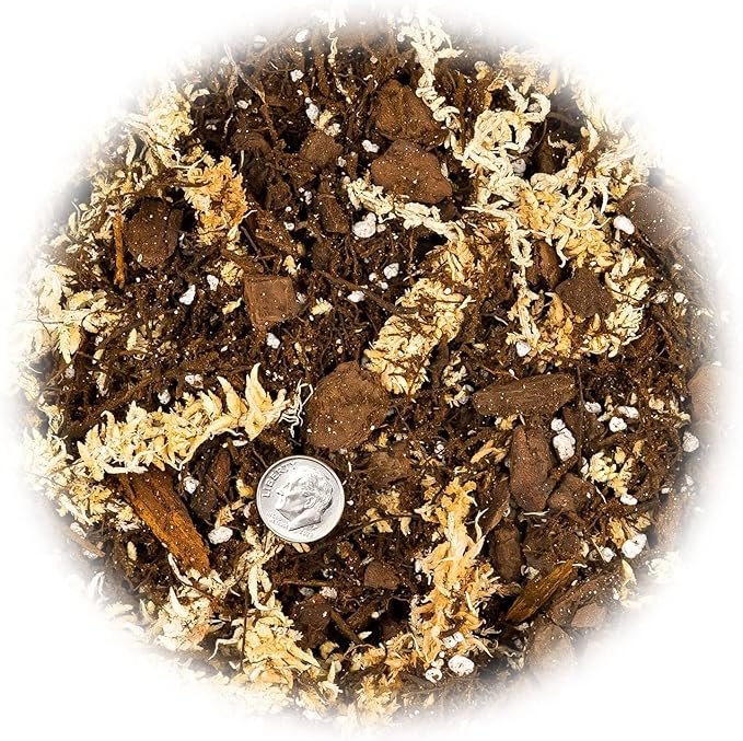 Premium Orchid Mix by GARDENERA | Fern + New Zealand Pine Bark + Sphagnum Moss + Perlite | Best for Growing and Repotting Orchids - 1 Quart Bag-VerdiqueGarden