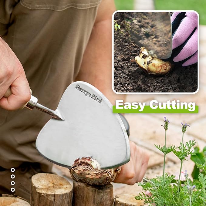 Berry&Bird Perennial Trowel, Oversized Garden Potting Trowel with Sharp Blade Wood Hand Shovel, Stainless Steel Planting Trowel Gardening Tool for Roots,Planting,Digging,Transplanting and Cutting-VerdiqueGarden