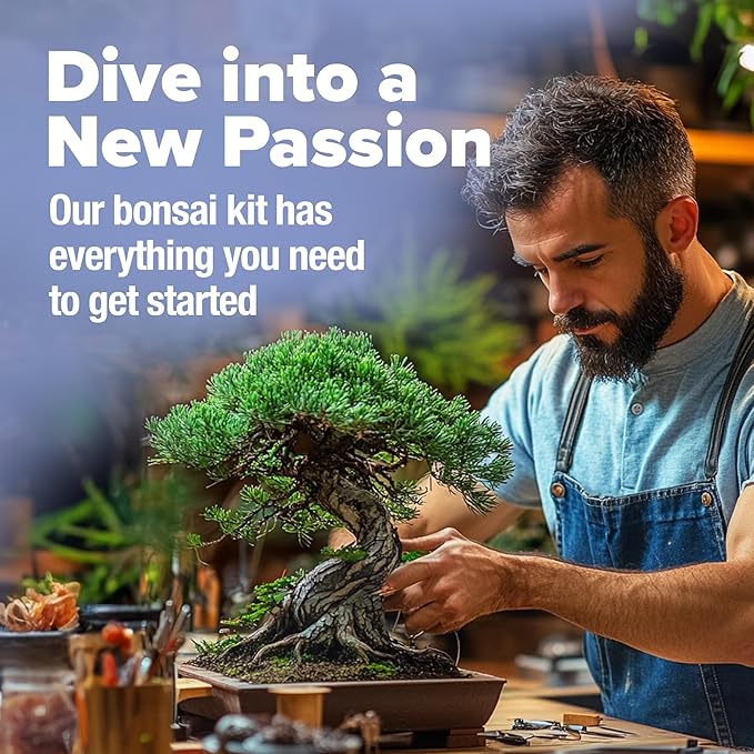 HOME GROWN Bonsai Tree Kit - Premium Ceramic Starter Kit - 4 Variety of Bonsai - Unique Gift for Men and Women Gardeners (BK2-2nd-MF)-VerdiqueGarden