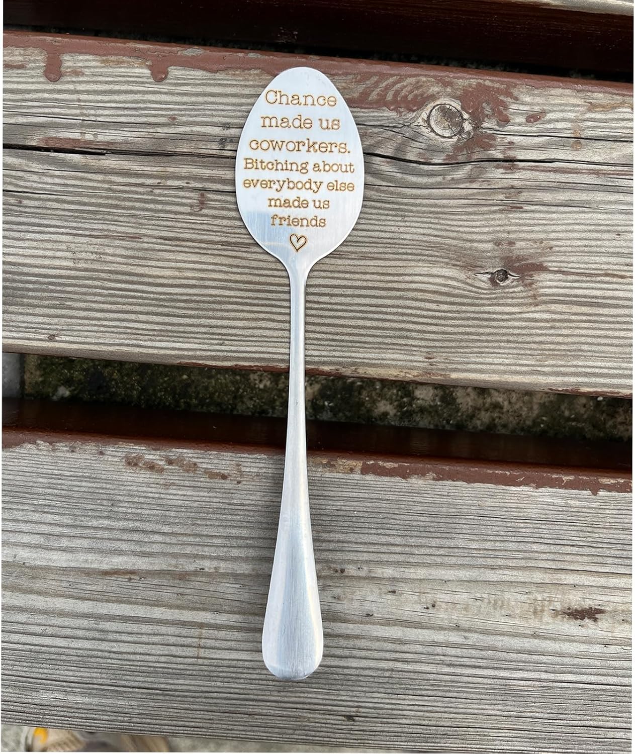 Garden Plant Marker Friendship Gift for Women Gardeners, Plant Stake Label Sign Tag Gardening Gifts for Woman Plant Lovers, Metal Garden Decoration (Made Us Friends)-VerdiqueGarden