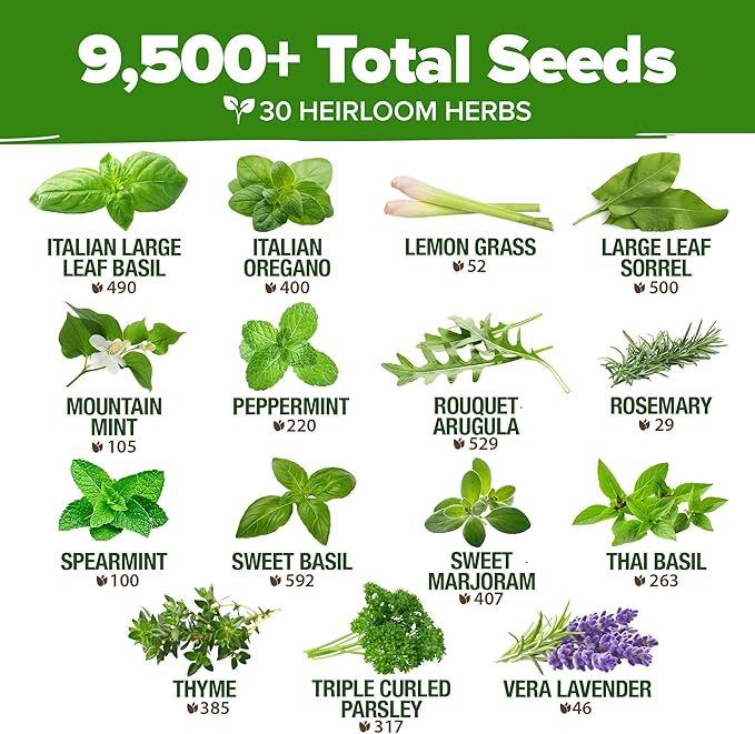 HOME GROWN 30 Herb Seeds for Planting 9,500+ Non-GMO Heirloom Seeds | Extra Large Variety Pack Herb Kit – Indoor Outdoor & Hydroponic | Culinary Seed Set | Grow Your Own Herbs | Gardening Gift-VerdiqueGarden