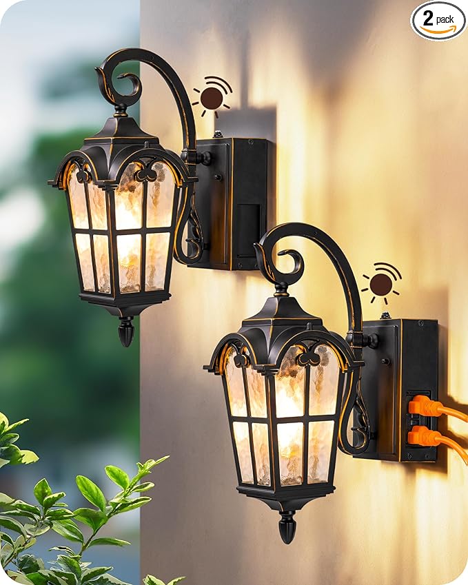 EDISHINE 2 Pack Dusk to Dawn Outdoor Wall Lights, Porch Lights with GFCI Outlet, Retro Black Outdoor Wall Lantern, Waterproof Outside Exterior Light Fixture for Front Door, Patio, Garage, E26 Socket-VerdiqueGarden
