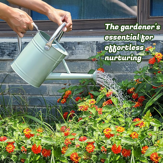 1 Gallon Watering Can for Plants, Watering Cans for Indoor&Outdoor Gardening, Galvanized Steel Watering Pot with Removable Spout, Metal Water Can with Ergonomic Movable Handle(Cream Green)-VerdiqueGarden