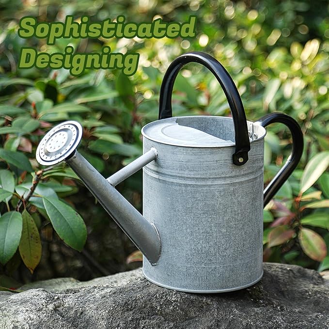 1 Gallon Watering Can for Plants, Watering Cans for Indoor&Outdoor Gardening, Galvanized Steel Watering Pot with Removable Spout, Metal Water Can with Ergonomic Movable Handle(Rustic Silver)-VerdiqueGarden