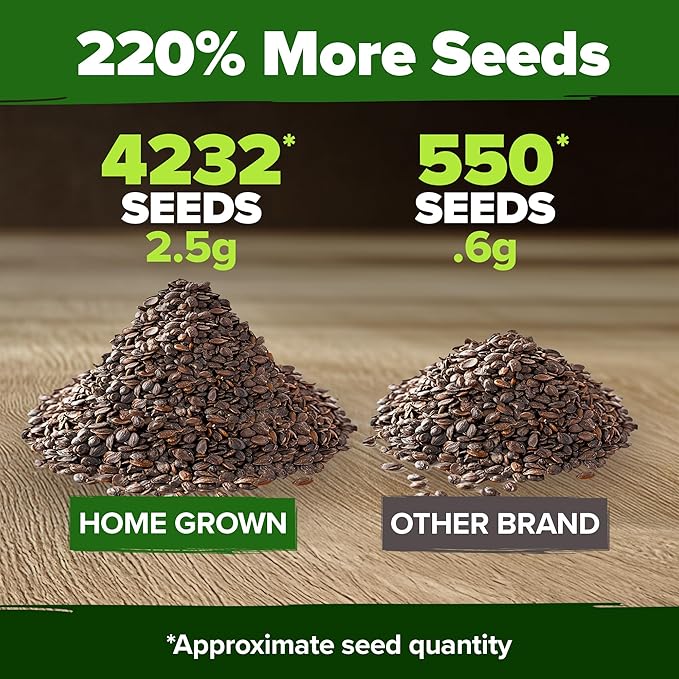 HOME GROWN Catnip Seeds (2 Pack) 𝗡𝗢𝗡-𝗚𝗠𝗢, 𝗨𝗦𝗔-𝗦𝗢𝗨𝗥𝗖𝗘𝗗 Heirloom Herb 4232 Seeds - Indoor or Outdoor Seed - High-Germination Cat Nip - Cat Safe Plants (Nepeta cataria)-VerdiqueGarden