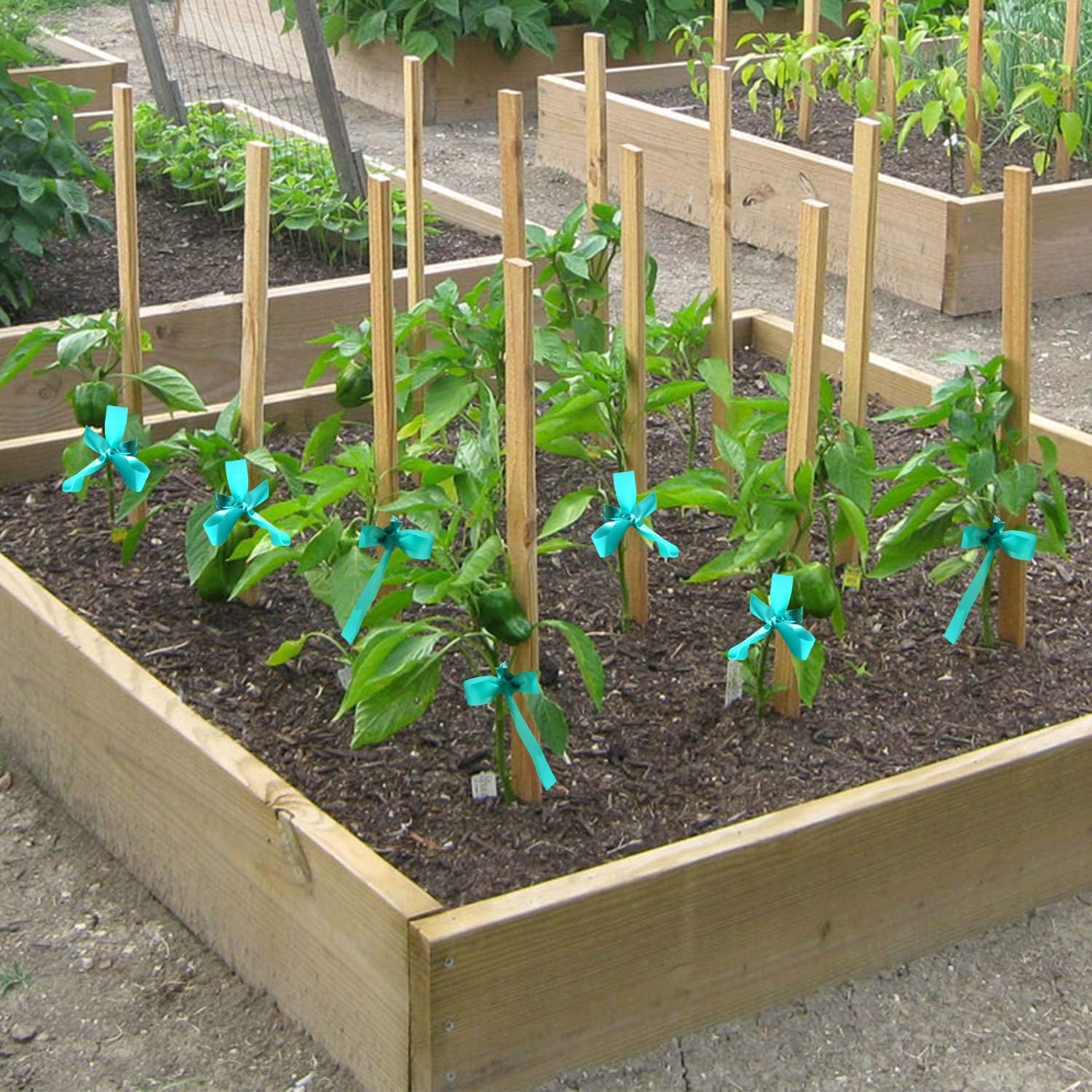 Coobbar Stretch Tie Tape, 0.5 Inch Wide Stretch Tie Tape Garden Tie Tape Thick Plant Ribbon Garden Green Vinyl Stake for Indoor Outdoor Patio Plant Use (600 Feet)-VerdiqueGarden