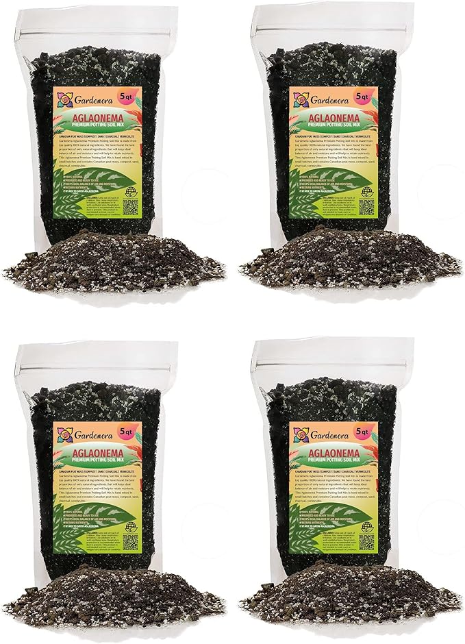Aglaonema Potting Mix - Unlock Robust Growth and Vibrant Leaves with Our High-Performance Formula - 20 Quart-VerdiqueGarden