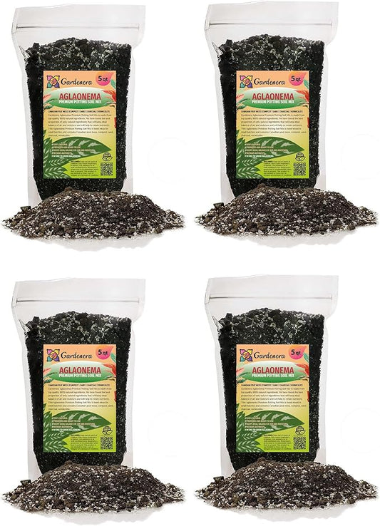 Aglaonema Potting Mix - Unlock Robust Growth and Vibrant Leaves with Our High-Performance Formula - 20 Quart-VerdiqueGarden