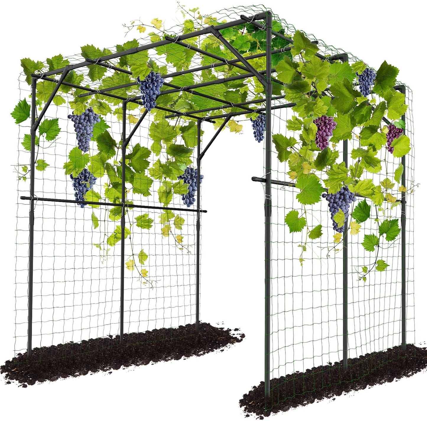 DoCred Tall Garden Arch Trellis for Climbing Plants, 79in Tall Metal Plant Support Trellis Archway for Climbing Vine Vegetable/Fruit/Flower Outdoor Yard Lawn Garden Arch Tunnel Trellis-VerdiqueGarden