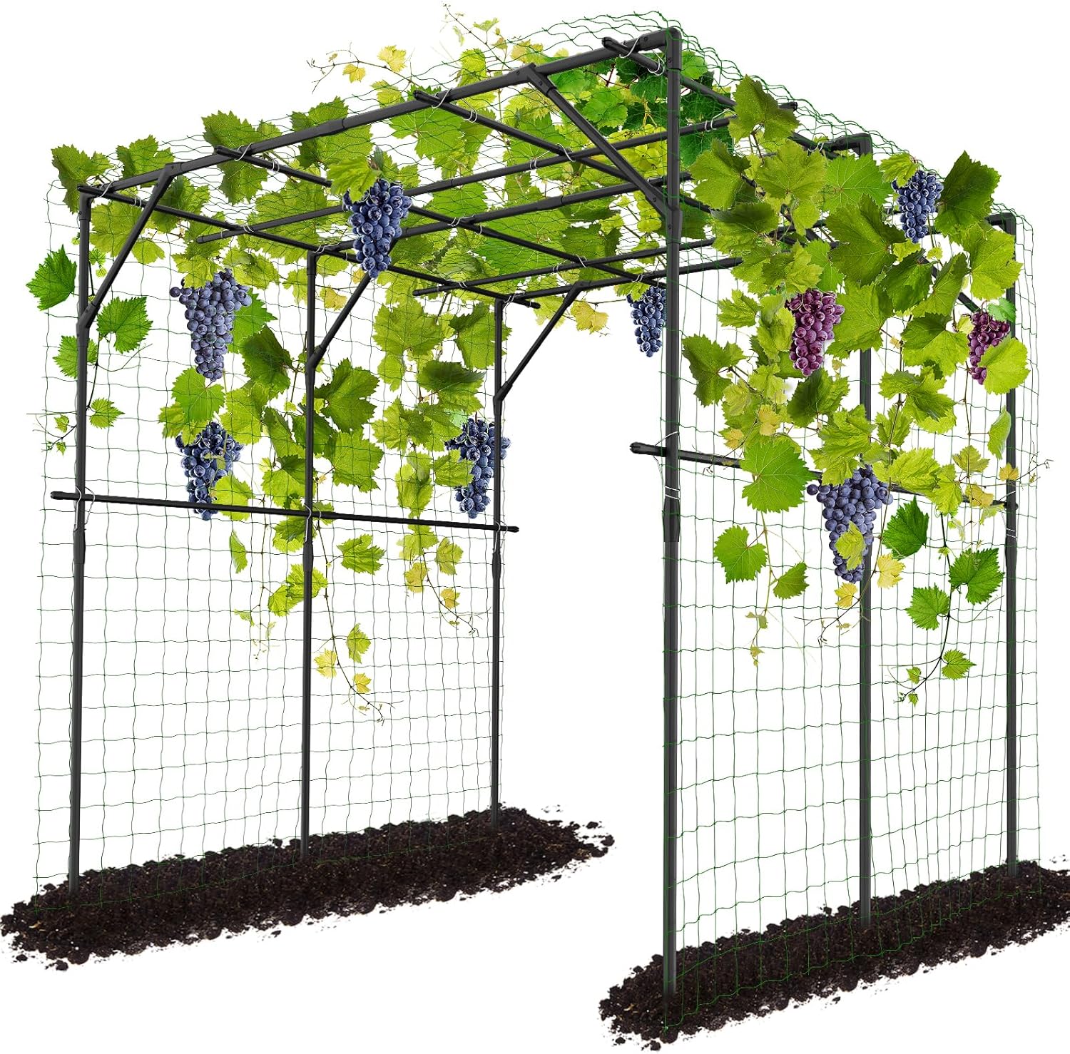 DoCred Tall Garden Arch Trellis for Climbing Plants, 79in Tall Metal Plant Support Trellis Archway for Climbing Vine Vegetable/Fruit/Flower Outdoor Yard Lawn Garden Arch Tunnel Trellis-VerdiqueGarden