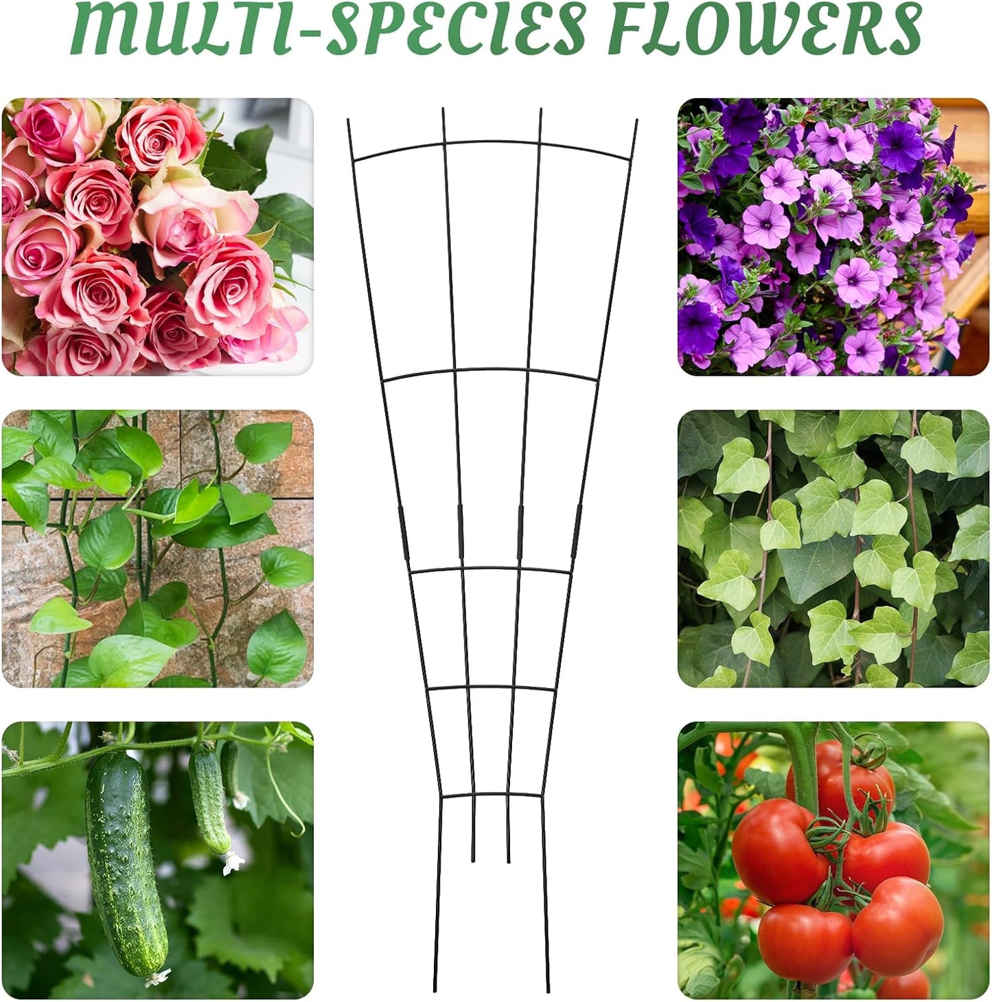 4 Pack 32'' Plant Trellis Indoor - Metal Trellis for Climbing Plants Indoor, Garden Trellis for Climbing Plants Outdoor Houseplants Flowers Vine Ivy, Fan Shape, Black-VerdiqueGarden