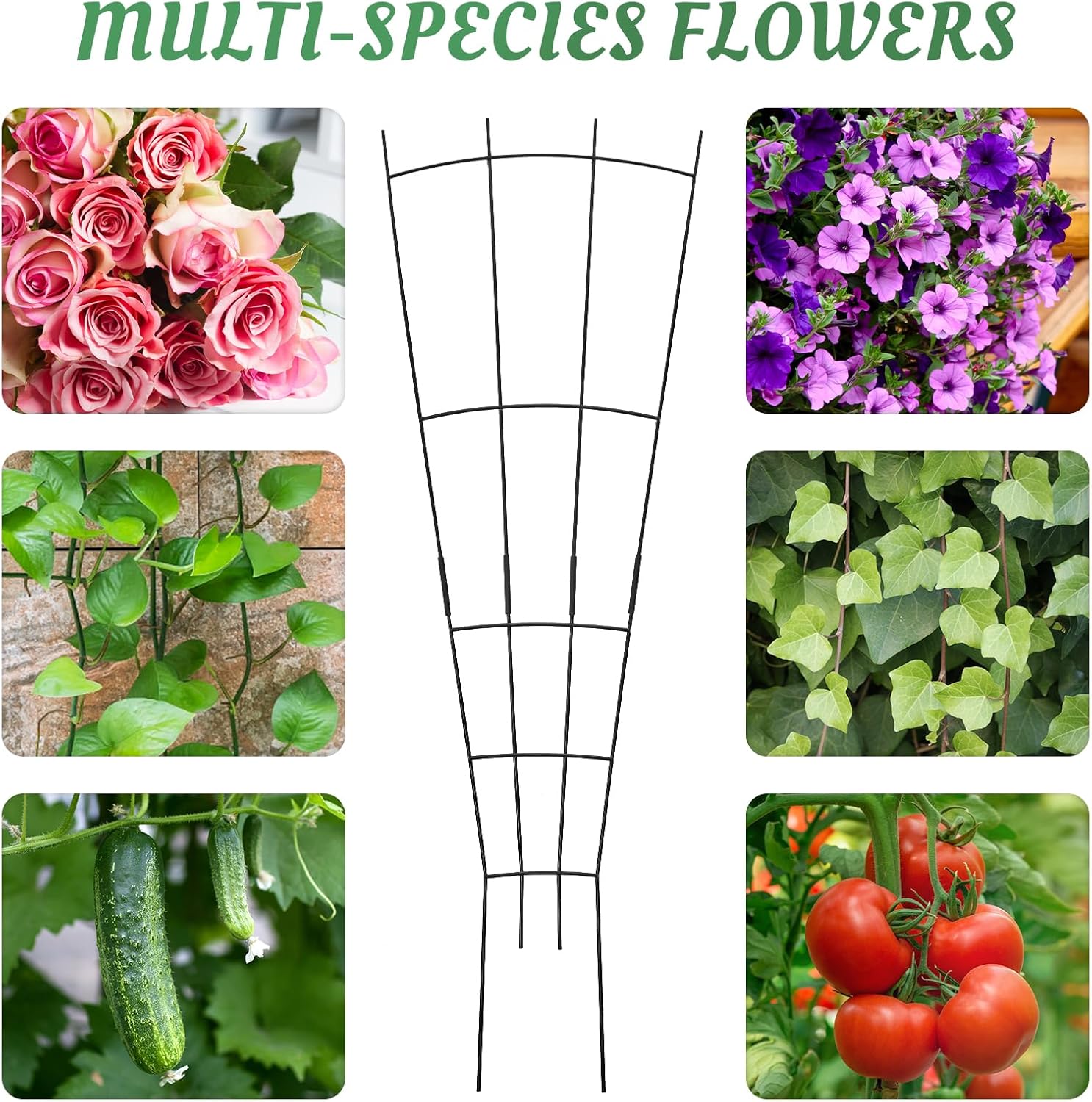 4 Pack 32'' Plant Trellis Indoor - Metal Trellis for Climbing Plants Indoor, Garden Trellis for Climbing Plants Outdoor Houseplants Flowers Vine Ivy, Fan Shape, Black-VerdiqueGarden