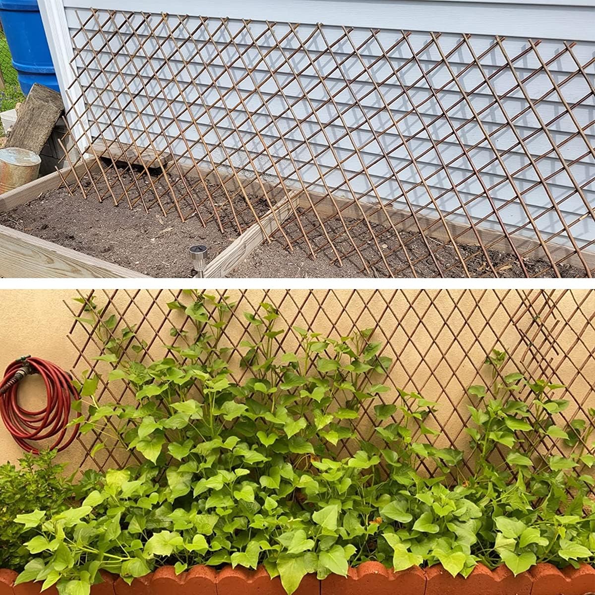 Expandable Willow Trellis for Climbing Plants Outdoors,Nature Garden Fence Lattice Panels for Outside Plant Support for Vine, Ivy, Rose, Cucumbers, Clematis 36x92 Inch(4PC)-VerdiqueGarden