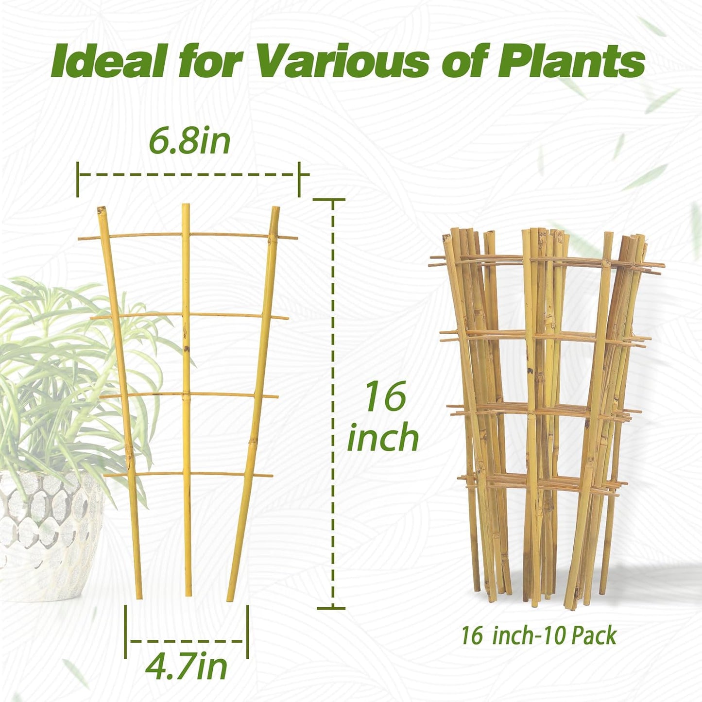 Avalution 10 Pack Bamboo Trellis for Climbing Plants 16" Natural Garden Ladder Trellis, Fan -Shaped Plant Support Trellis for Potted Plant Decor-VerdiqueGarden