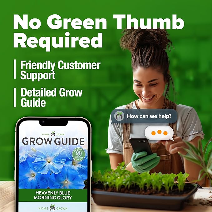 HOME GROWN 𝗨𝗦𝗔 𝗣𝗥𝗘𝗠𝗜𝗨𝗠 Heavenly Blue Morning Glory - 150 Heirloom Seeds for Planting, 𝗡𝗢𝗡-𝗚𝗠𝗢 Ideal for a Flower Garden That Attracts Pollinators and Birds (Ipomoea Tricolor)-VerdiqueGarden