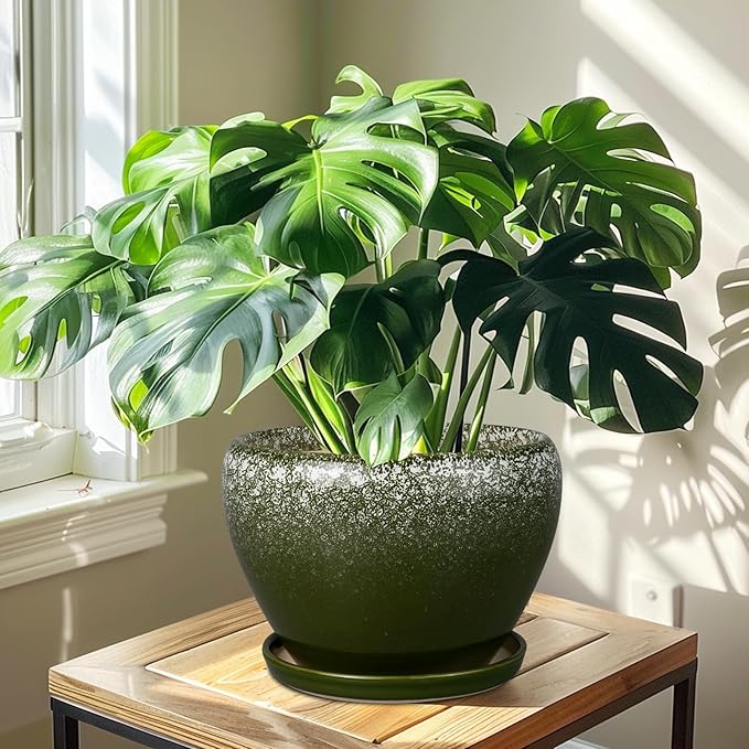 10 Inch Planter Pot - Ceramic Pots for Plants with Drainage Hole and Saucer, Round Large Flower Pot for Indoor Plants, Dark Green-VerdiqueGarden