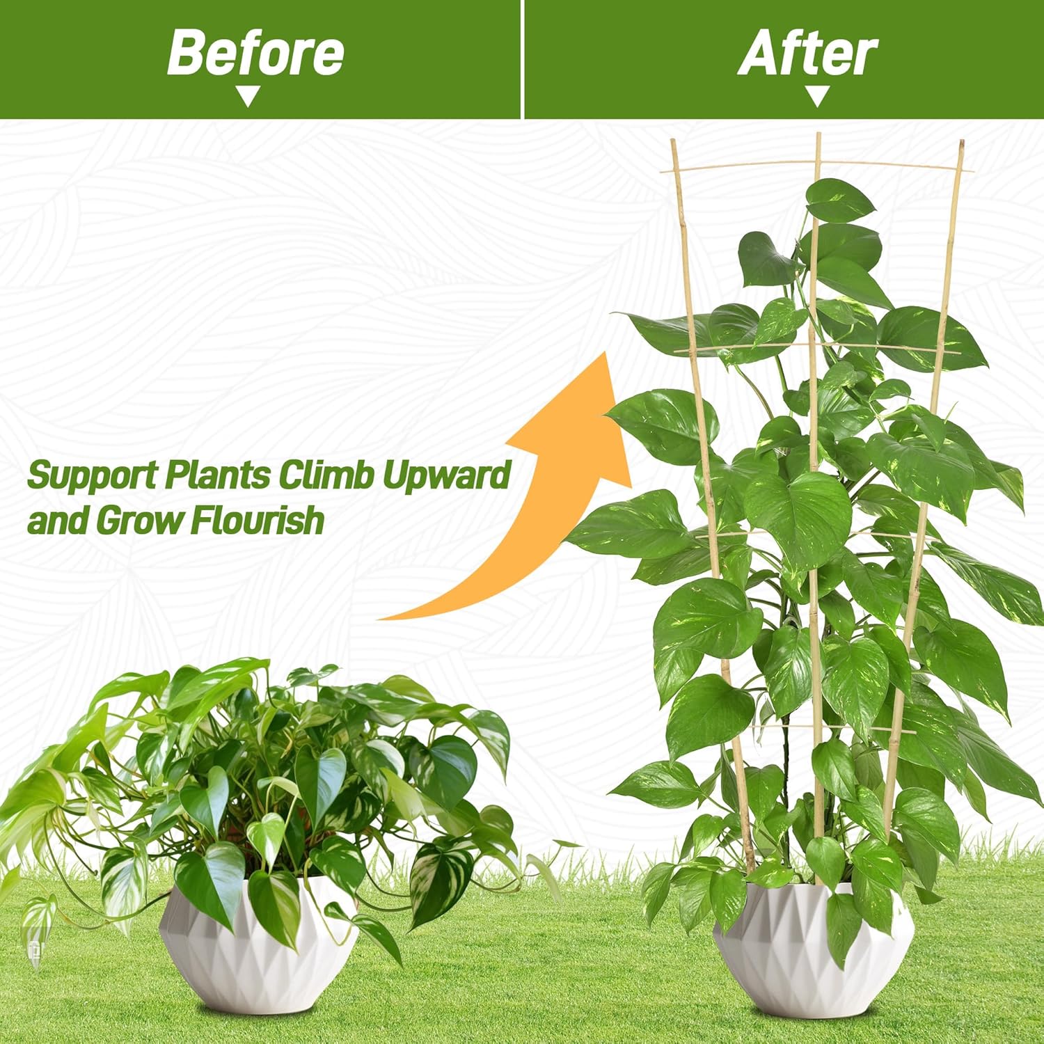 Avalution 10 Pack Bamboo Trellis for Climbing Plants, 4 FT Garden Ladder Trellis for Potted Plants Indoor, Fan-Shaped Small Plant Support Trellis for Houseplants Ivy Hoya Vine Monstera-VerdiqueGarden