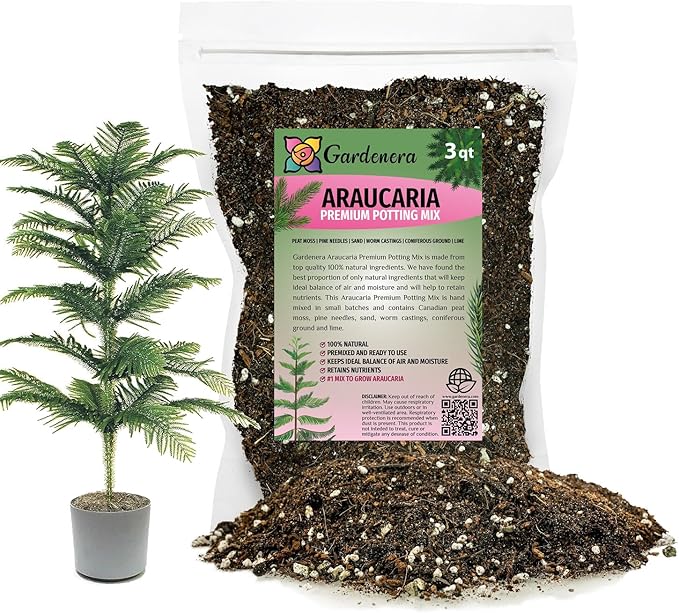 Premium Araucaria Potting Soil Mix - Perfect Balance of Nutrients, Drainage, and Aeration for Healthy Araucaria Trees - 3 Quart-VerdiqueGarden