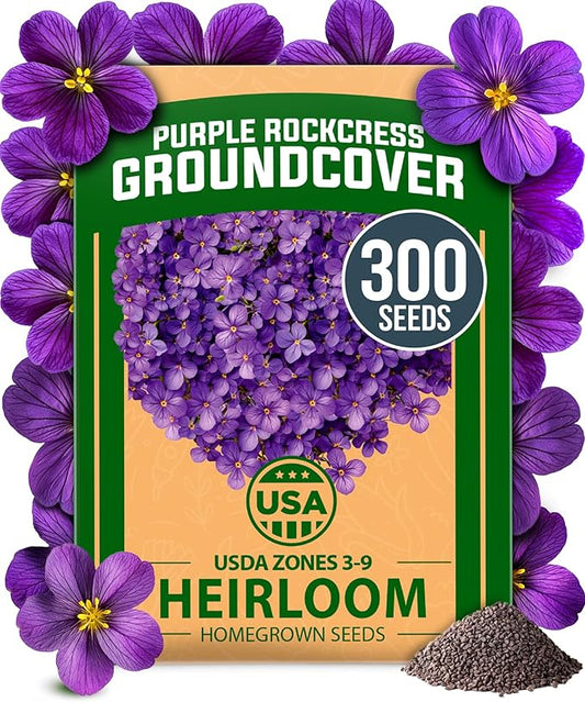 HOME GROWN 𝗨𝗦𝗔 𝗣𝗥𝗘𝗠𝗜𝗨𝗠 Aubrieta Rock Cress Purple, Flowering Ground Cover Seed Pack, Perennial Cress Seeds for Planting Outdoor Lawn Gardens 300 𝗡𝗢𝗡-𝗚𝗠𝗢 Aubrieta deltoidea Flower Seeds-VerdiqueGarden