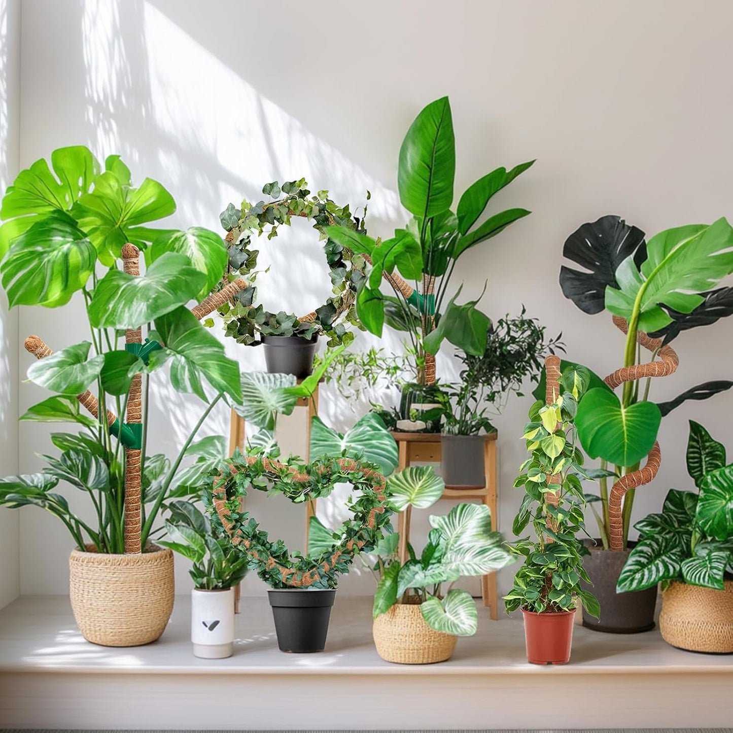 Moss Pole 30 Inch, 2 Pack Monstera Plant Support, Bendable Plant Stakes for Indoor Plants, Plant Sticks Support Tall，Coco Coir Plant Poles for Climbing Plants, Pothos, Philodendron-VerdiqueGarden